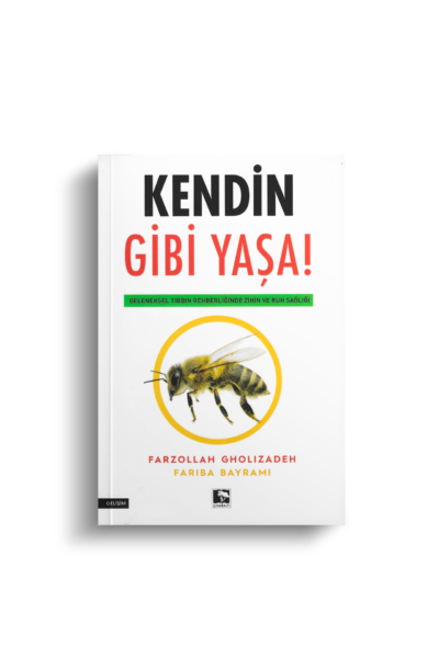 kendingibiyasaon.png
